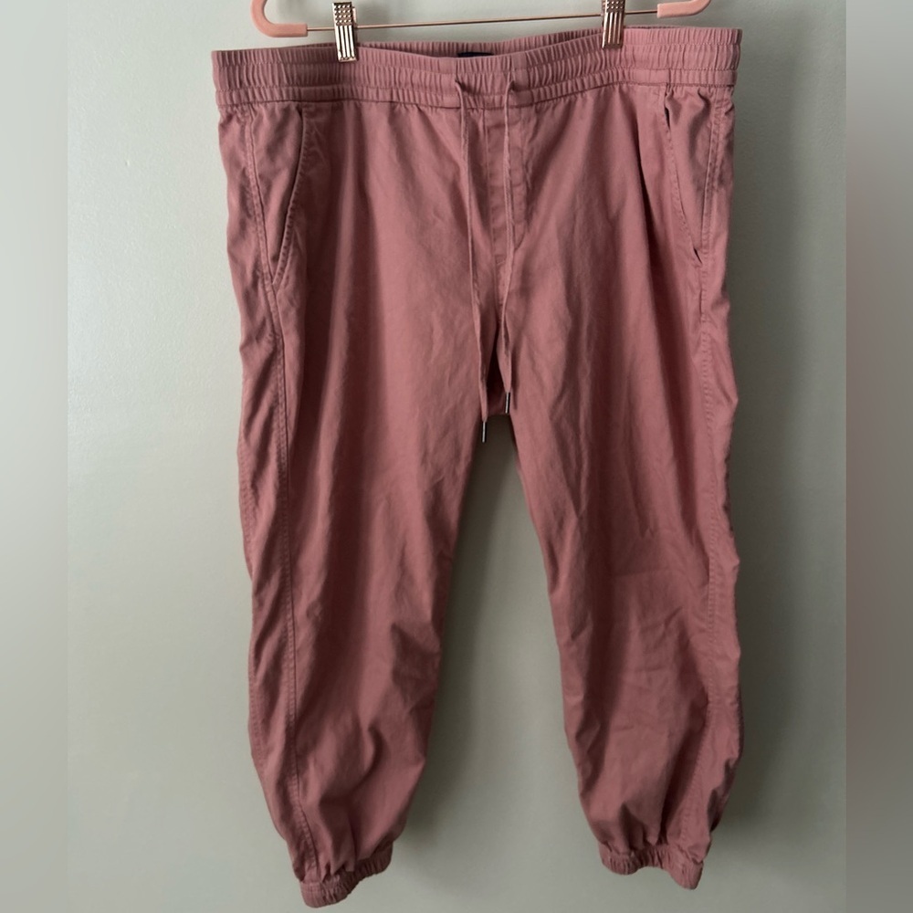 GAP Blush Pink Jogger Pants